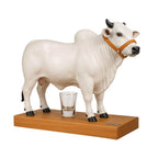 Boi Corote Nelore 2 Litros [PROMOÇÃO LIMITADA ATÉ HOJE 23:59]